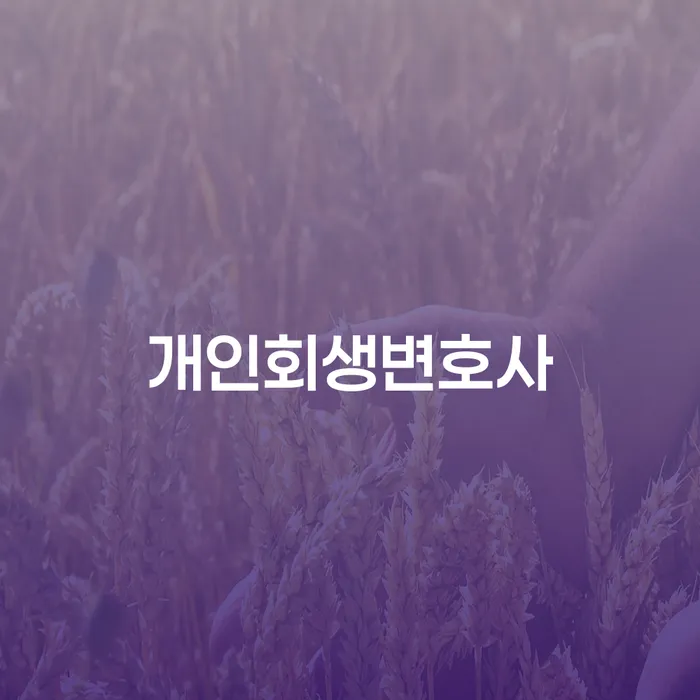광주시 개인회생진술서 신용회복 지금알아보기